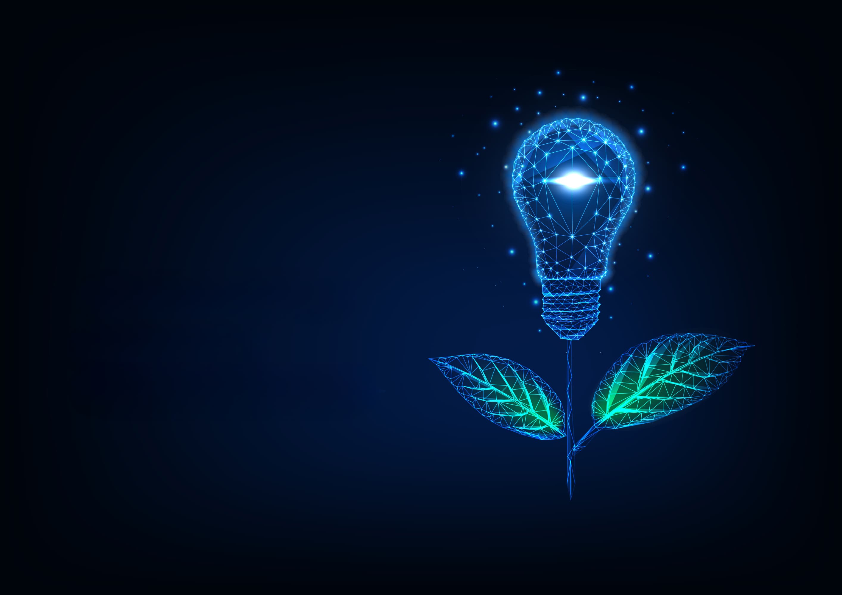 Innovation with intention​